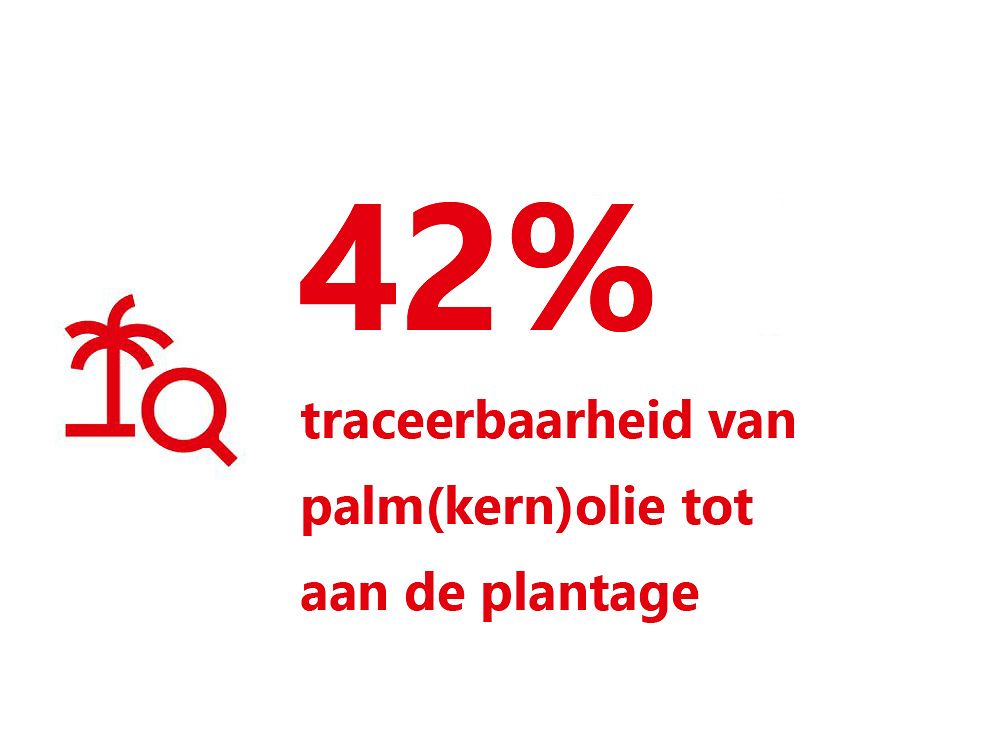 42-traceability-palm-oil-plantation-nl