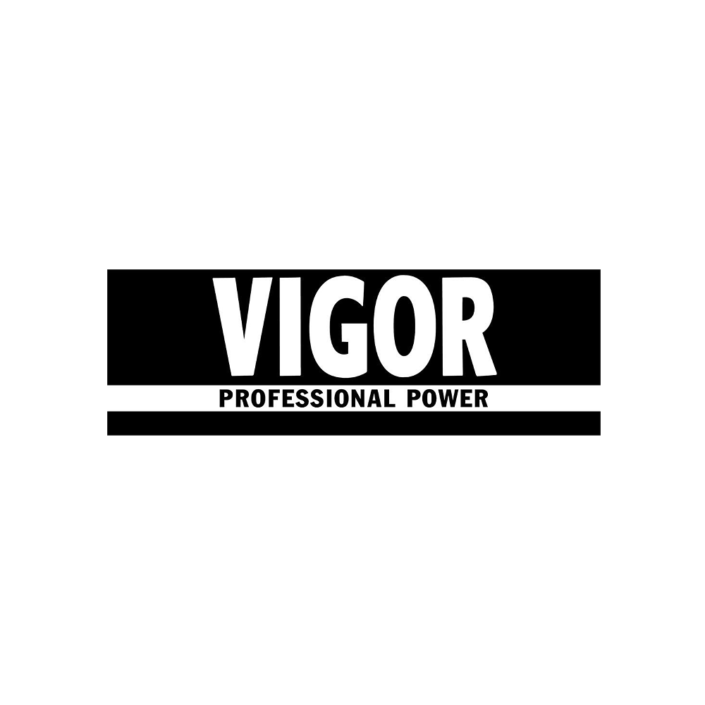Vigor Logo