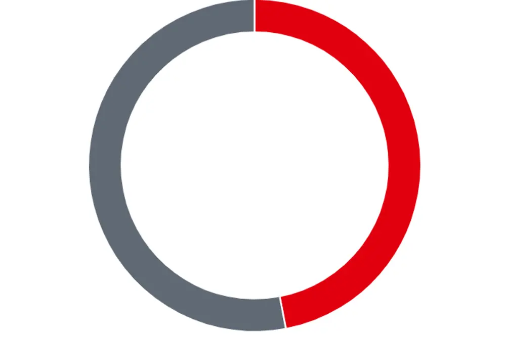 Donut graphic proportion of total Henkel sales