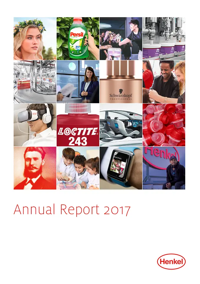 Rapport Annuel 2017 (Cover)