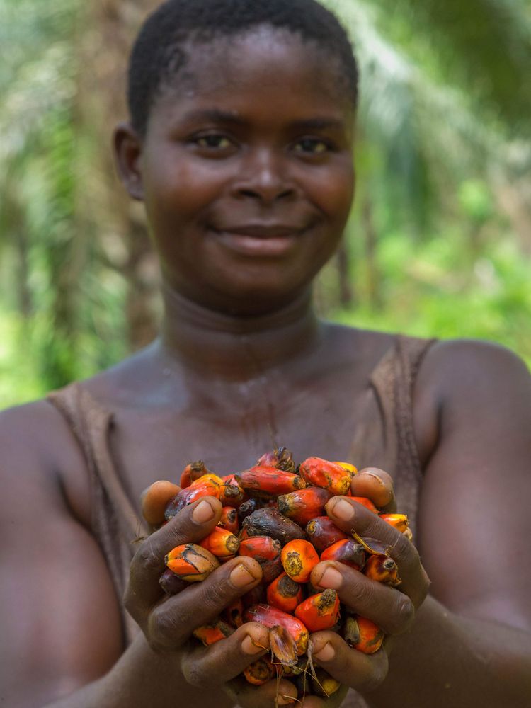 Femme avec des fruits d'huile de palme dans les mains